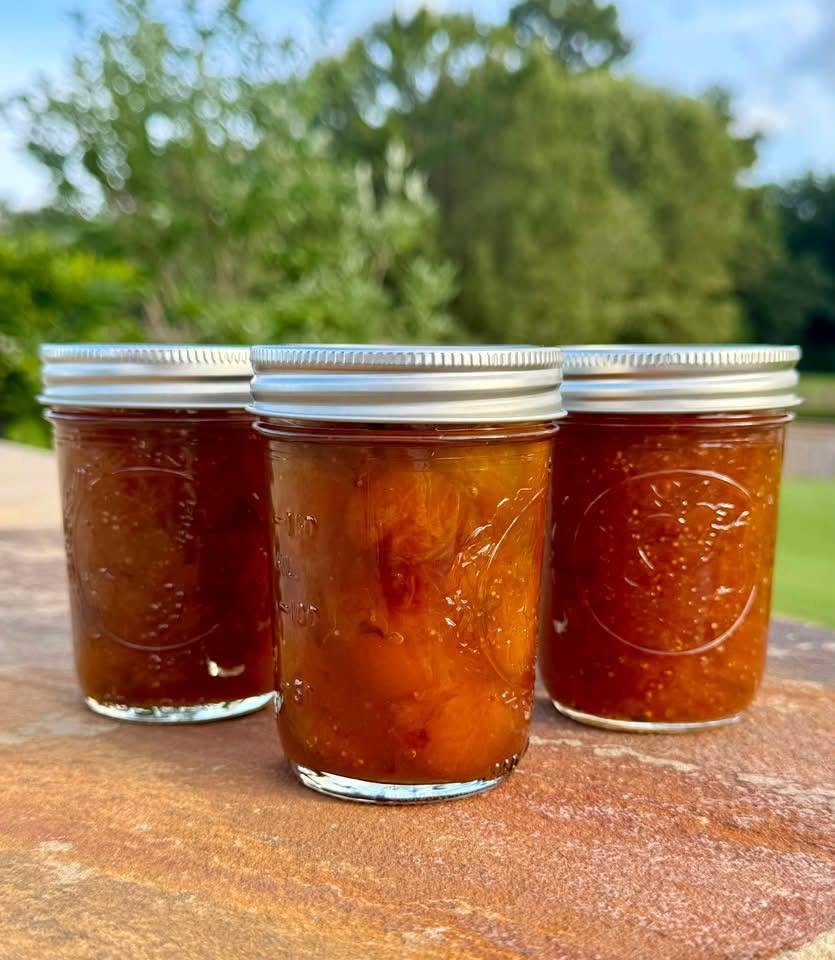 Three jars of The Preserved Peach’s homemade preserves in the Georgia sunshine